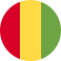 Guinea Flag