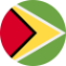 Guyana Flag