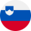 Slovenia Flag