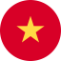 Vietnam Flag